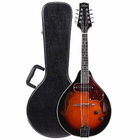 Artist MDA100EQ+C Sunburst Mandolin w/ Pickup & Black Hard Case