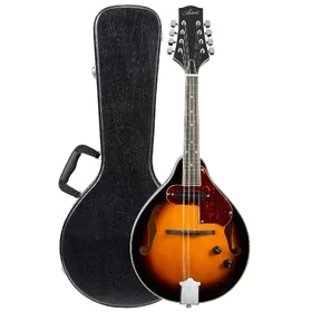 Artist MDA200EQ+C Sunburst Mandolin w/ Pickup & Black Hard Case