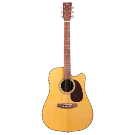 Artist D24 Solid Top Dreadnought Acoustic Guitar