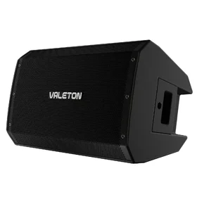 Damaged Valeton VFR110 FRFR Active Guitar Speaker Cabinet