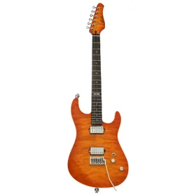 Customer Returned Artist Skyler 15th Anniversary Tiger Flame Electric Guitar