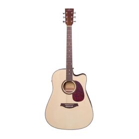 Image of Student Acoustic Electric Guitars