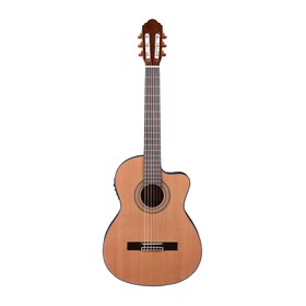 Image of Classical Solid Top Guitars
